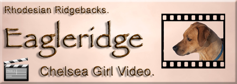 Eagleridge Chelsea Video
